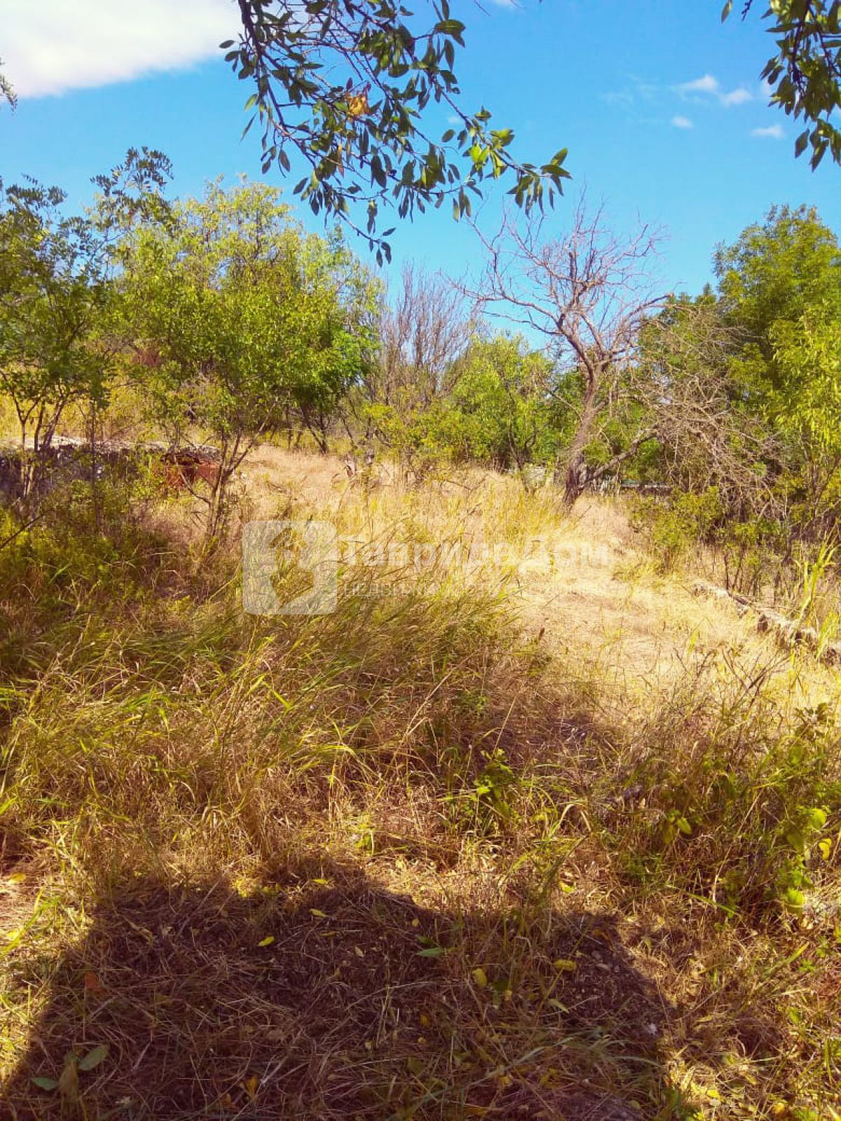 Купить  участок