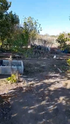 Купить  участок