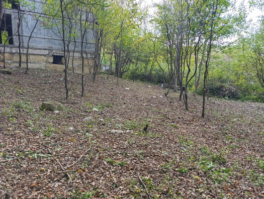 Купить  участок